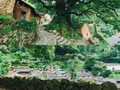 -杨家堂村