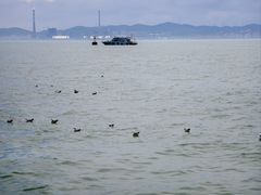 -刘公岛景区