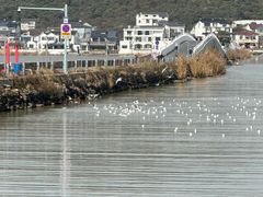 -苏州太湖西山岛开心农场
