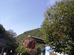 -姑婆山旅游区