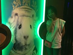 -秘宅KTV(马甸桥店)