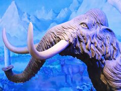 -中国第四纪冰川遗迹陈列馆