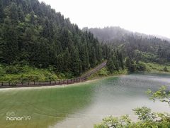 -武陵山森林公园