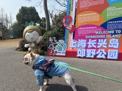 -上海长兴岛郊野公园