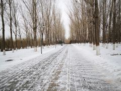 -东升八家郊野公园