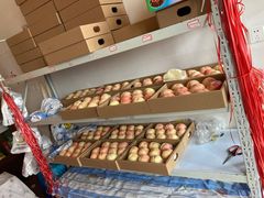 -南汇新场正宗水蜜桃采摘