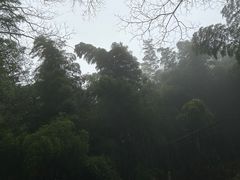 -藏龙百瀑风景区