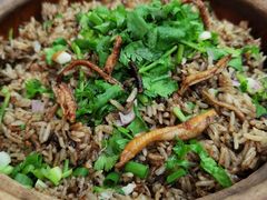 -汤氏美食台山水步特色黄鳝饭(龙津东路店)