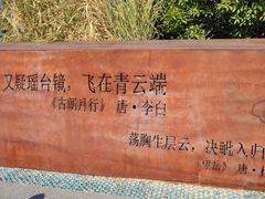 -飞凤山奥体公园