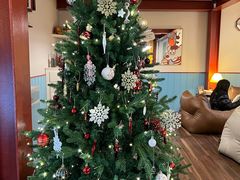 -line friends(明洞旗舰店)