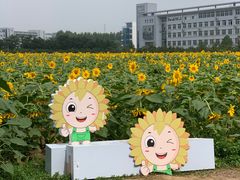 -南京信息职业技术学院