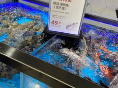 水产区-盒马鲜生(岭南新世界店)