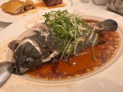 -美心皇宫(屯门大会堂店)