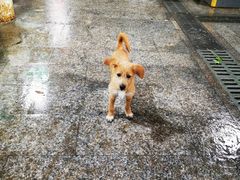 -吕四渔港码头海鲜餐厅