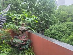 -上海白云观