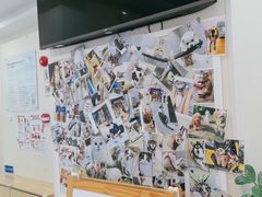 -芭比堂动物医院·24小时·眼科中心(深圳中心)