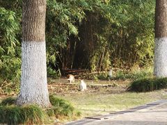 -华东政法大学(松江校区)