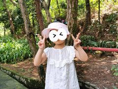 -铁山坪森林公园