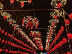 -青龙湖公园
