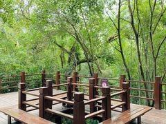 -上海佘山国家森林公园西佘山园