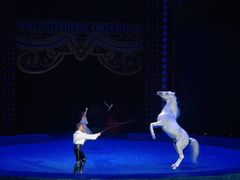 -珠海横琴长隆《卡卡虎奇遇记》