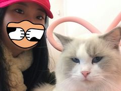 -猫咪派对(江南西店)