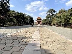 -北陵公园