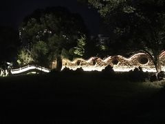 -永安龟山公园