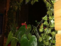 -严记小天府酸菜鱼(西四路店)