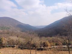 -南京老山国家森林公园