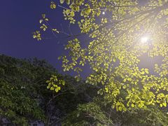 -嘉华鲜花饼(南屏旗舰店)