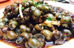 Snail Dish