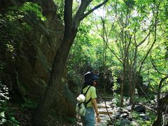 -云岫谷自然风景区