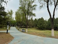-青龙湖公园