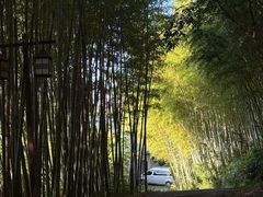 -苏州环秀晓筑养生度假村