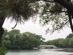 -北陵公园