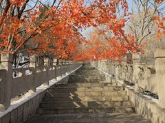 -抱犊寨风景区