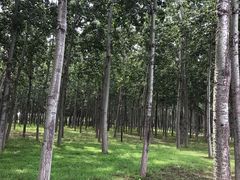-东郊湿地公园