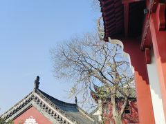 -长春观