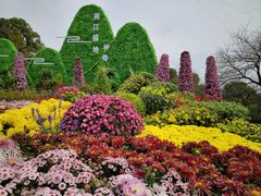 -南山植物园