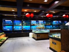 -姚江春中餐厅·太平洋大酒店