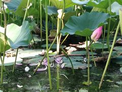 -奥林匹克森林公园南门-停车场