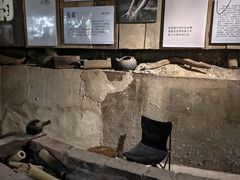 -西双版纳原始森林公园