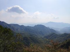 -大岭沟猕猴桃谷风景区