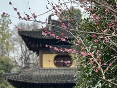 -慧因高丽寺