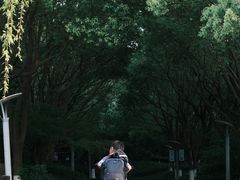 -桐乡植物园