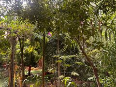 -呀路古热带植物园