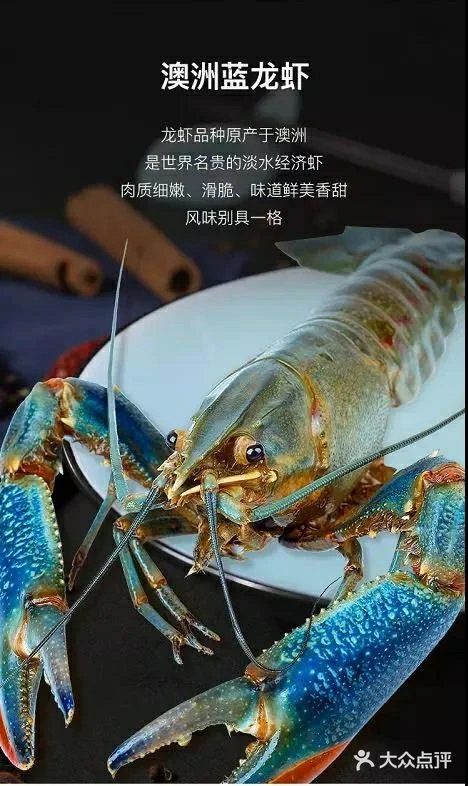 福居农业澳洲蓝龙虾图片