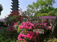 -上海方塔园