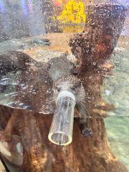 -Zoolung Zoolung动物主题公园(海信广场店)